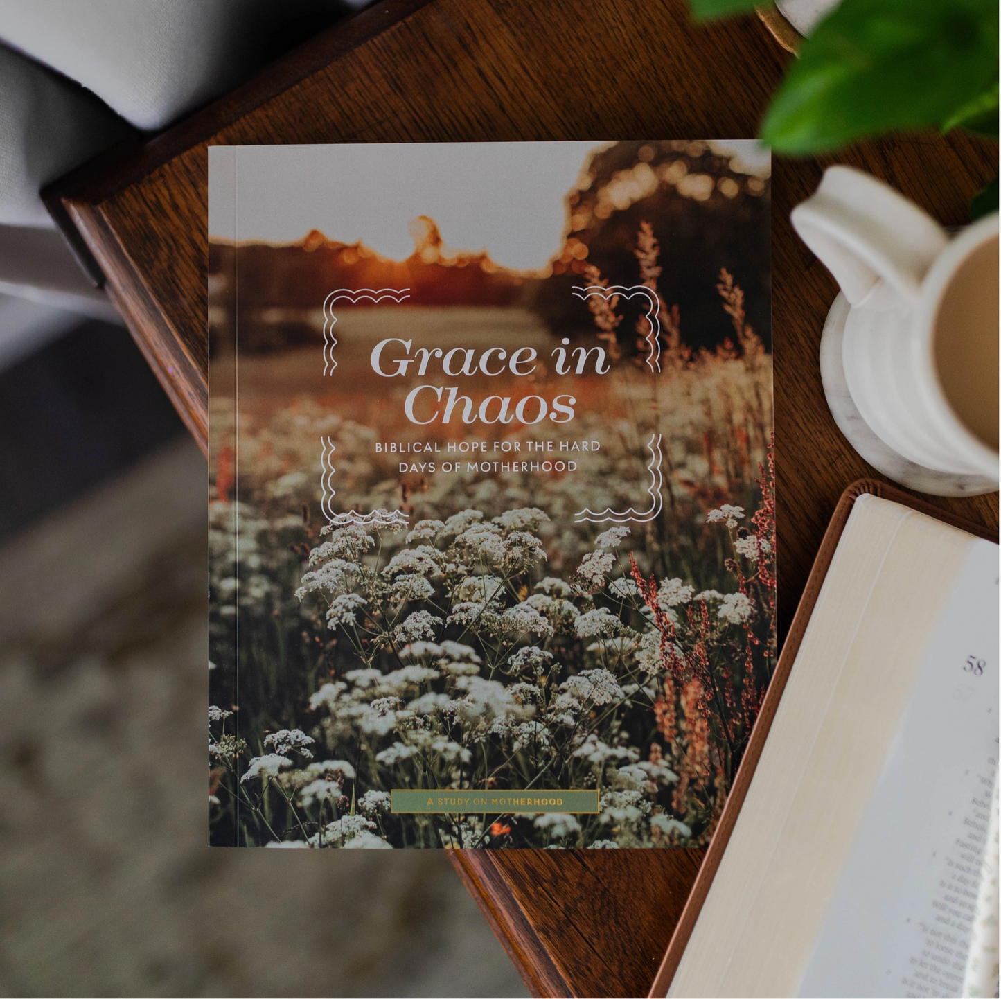 Grace in Chaos | Biblical Hope For the Hard Days of Motherhood