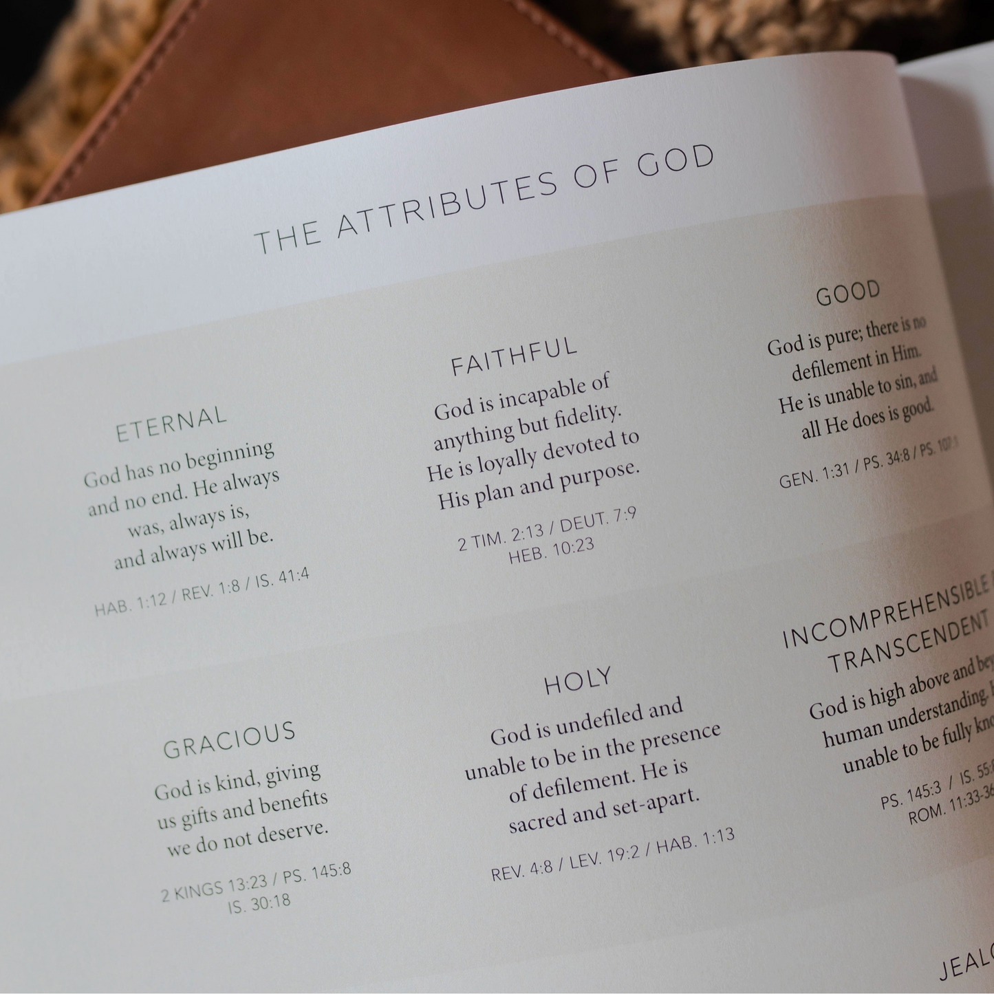 Esther | Seeing God When He Is Silent