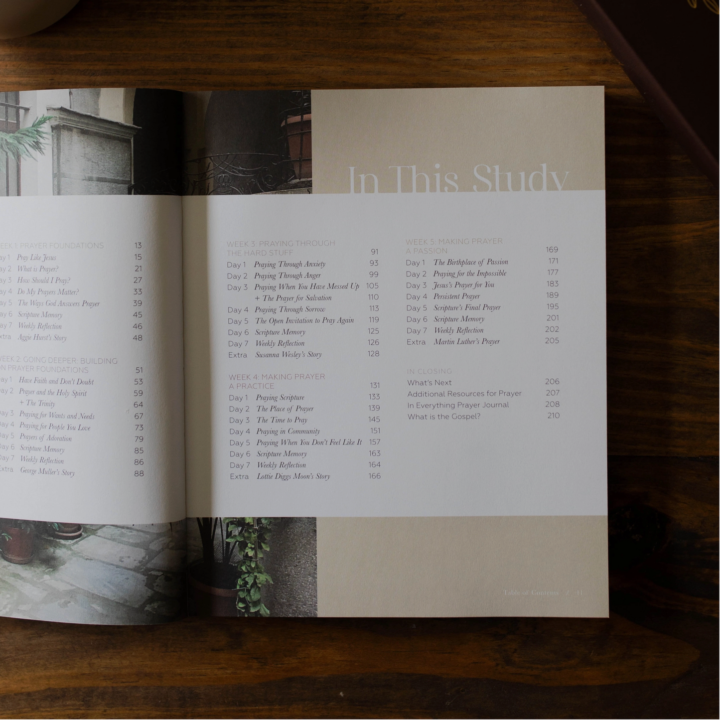 Pray | Cultivating A Passionate Practice of Prayer