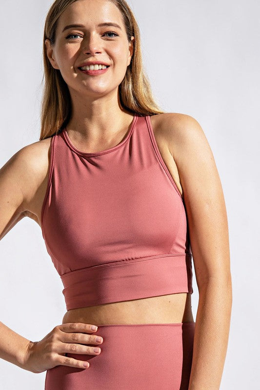 Compression Bra -Brier Rose